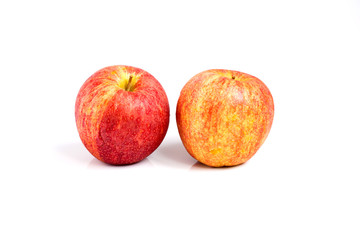 Sear skin and abrasion mark on apple