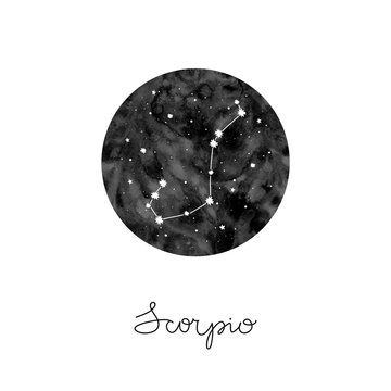 vector illustration with zodiac sign Scorpio