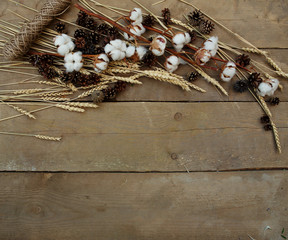 Cotton and wheat on a wooden background