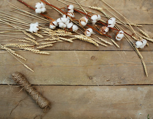 Wheat and cotton on a wooden background