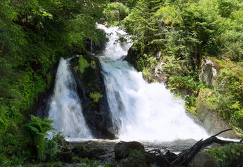 Wasserfall im Wald - Triberger Wasserfälle, Schwarzwald