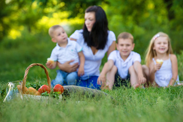 Fototapeta premium Happy mother, two sons and daughter dressed in white shirts are sitting on the grass in the park