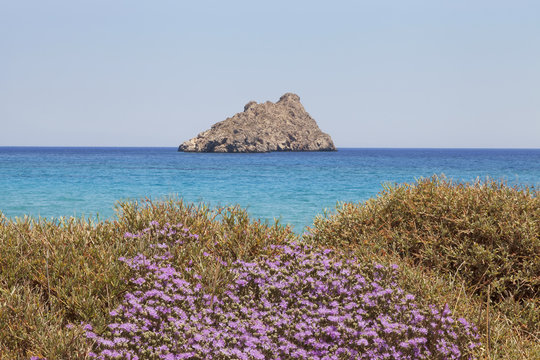Thymian, Meer und Insel
