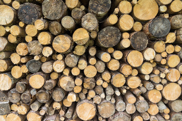 Holzsto&szlig; aus &Auml;sten und kleinen runden Baumst&auml;mmen 