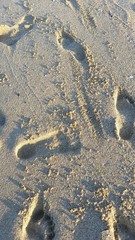 Obraz premium Traces de pas dans le sable