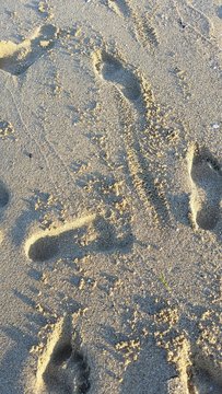 Traces de pas dans le sable