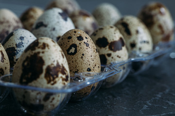 eggs on a black background of the texture