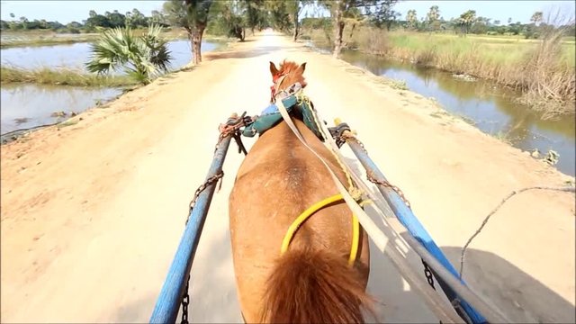 Horse cart moving on local road Awa in Mandalay Myanmar. Record on horse cart
