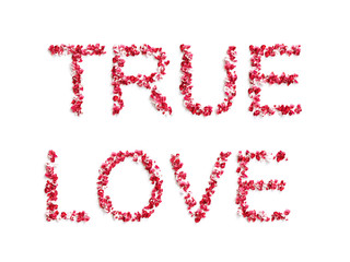 word " TRUE LOVE " made of rose petals on white background 3D render.