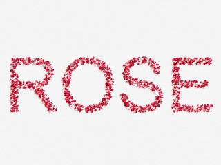 word " ROSE " made of rose petals on white background 3D render.