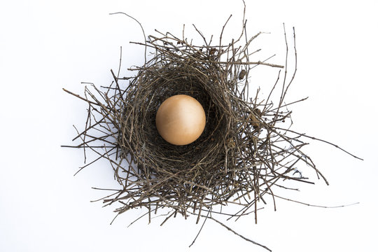 Nest And Egg On White Background