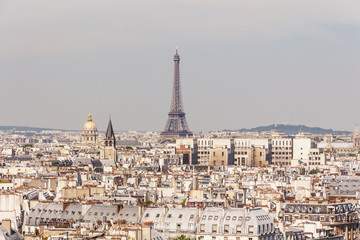 Fototapeta premium view of Paris from the Notre Dame Cathedral, France