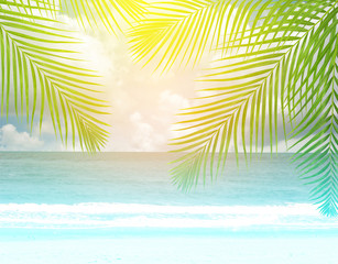 Fototapeta na wymiar Coconut palm trees with sky background