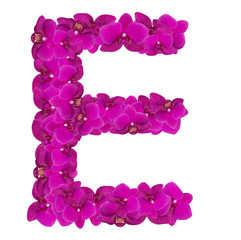 Fototapeta na wymiar Letters made of pink flowers. E letter - flower alphabet