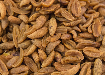 fruits and dried fruits