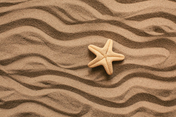 Fototapeta na wymiar Starfish and shells with sand as background. Sand texture