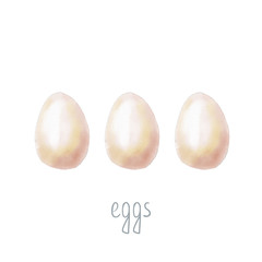 Watercolor illustration eggs