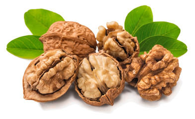 cracking walnuts with fresh leaves on white
