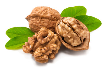 cracking walnuts with fresh leaves on white