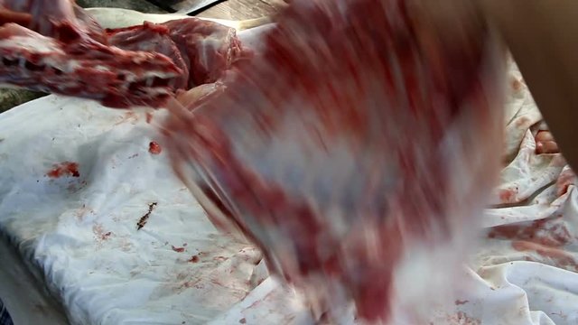 Butcher cutting back part of lamb on the table