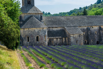 Abbaye Notre dame de S&eacute;nanque.