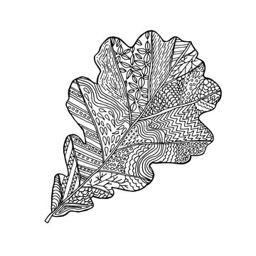 Oak Leaf Hand Drawn Vector Design Zentangle Print 