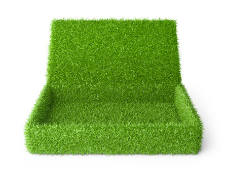 Open box covered a green grass.