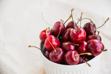 fresh harvest cherries