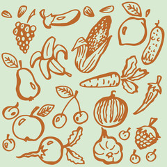 Fruit. Vegetables. Vector. Hand-drawn.