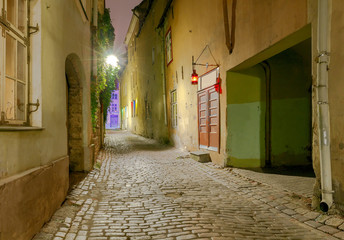 Fototapeta na wymiar Tallinn. The streets at night.