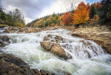  beautiful fast mountain river in autumn forest