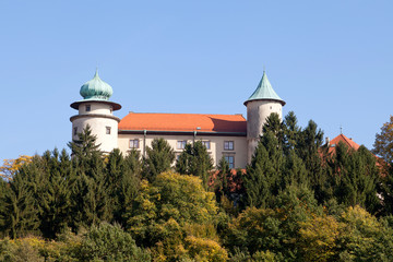view on castle Nowy Wisnicz ,Poland