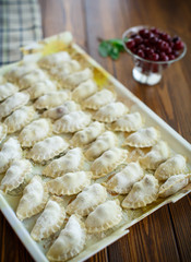 raw dumplings with filling