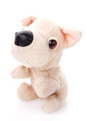 Children toy,Soft teddy dog