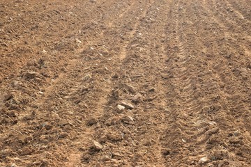Ploughed soil Agriculture nature texture
