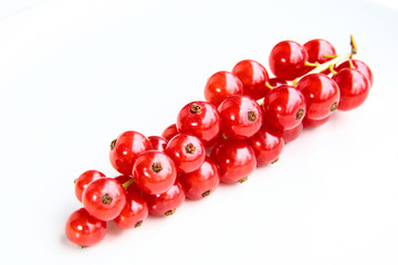 closeup of a bunch of delicate and fresh redcurrants