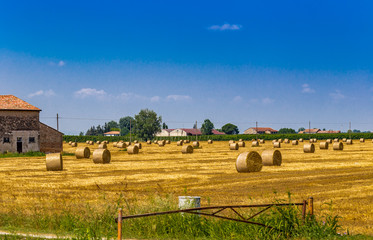 round hay bales
