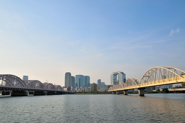 Obraz premium 淀川河川敷からみた梅田ビル群