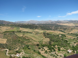 Fototapeta na wymiar Espagne - Andalousie - Ronda - Vue sur les collines et les champs d'oliviers
