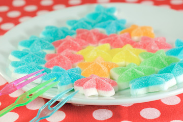 Jelly / Colorful jelly on white plate.