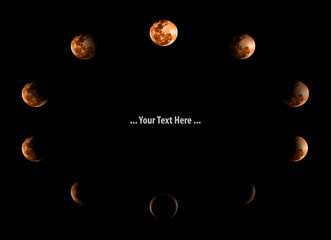 Moon / Moon phases on black background.