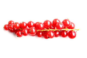 closeup of a bunch of delicate and fresh redcurrants