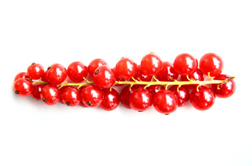 closeup of a bunch of delicate and fresh redcurrants