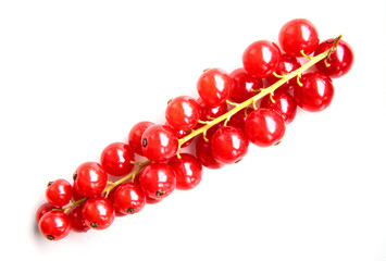 closeup of a bunch of delicate and fresh redcurrants