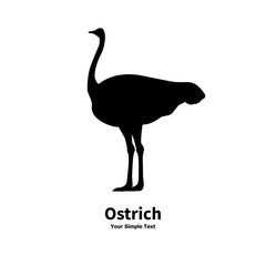 Vector illustration of black silhouette of ostrich