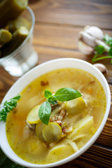 soup with pickled cucumbers
