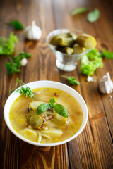 soup with pickled cucumbers