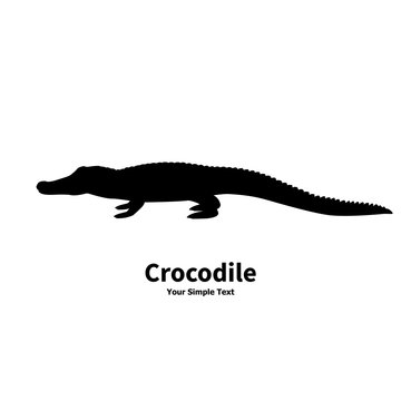 Vector illustration silhouette of crocodile