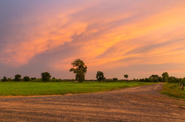 Local road around with rice field under colorful sky.