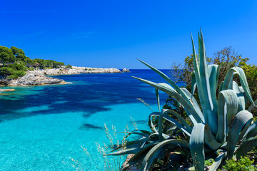 Cala Gat at Ratjada, Mallorca - beautiful beach and coast - 116103041